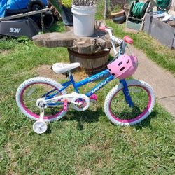 20 Inch Girls Bike. 35.00
