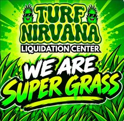 Best turf in town. 89 cents