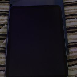 iPad 10 Generation 256GB