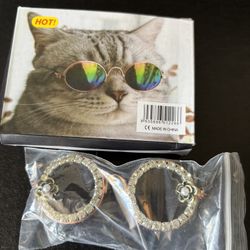 New Cat/Dog Fashion Sunglasses