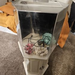 30 Gallon Aquarium With Stand, Filter, Some Decorations, fluval 207 canister filter