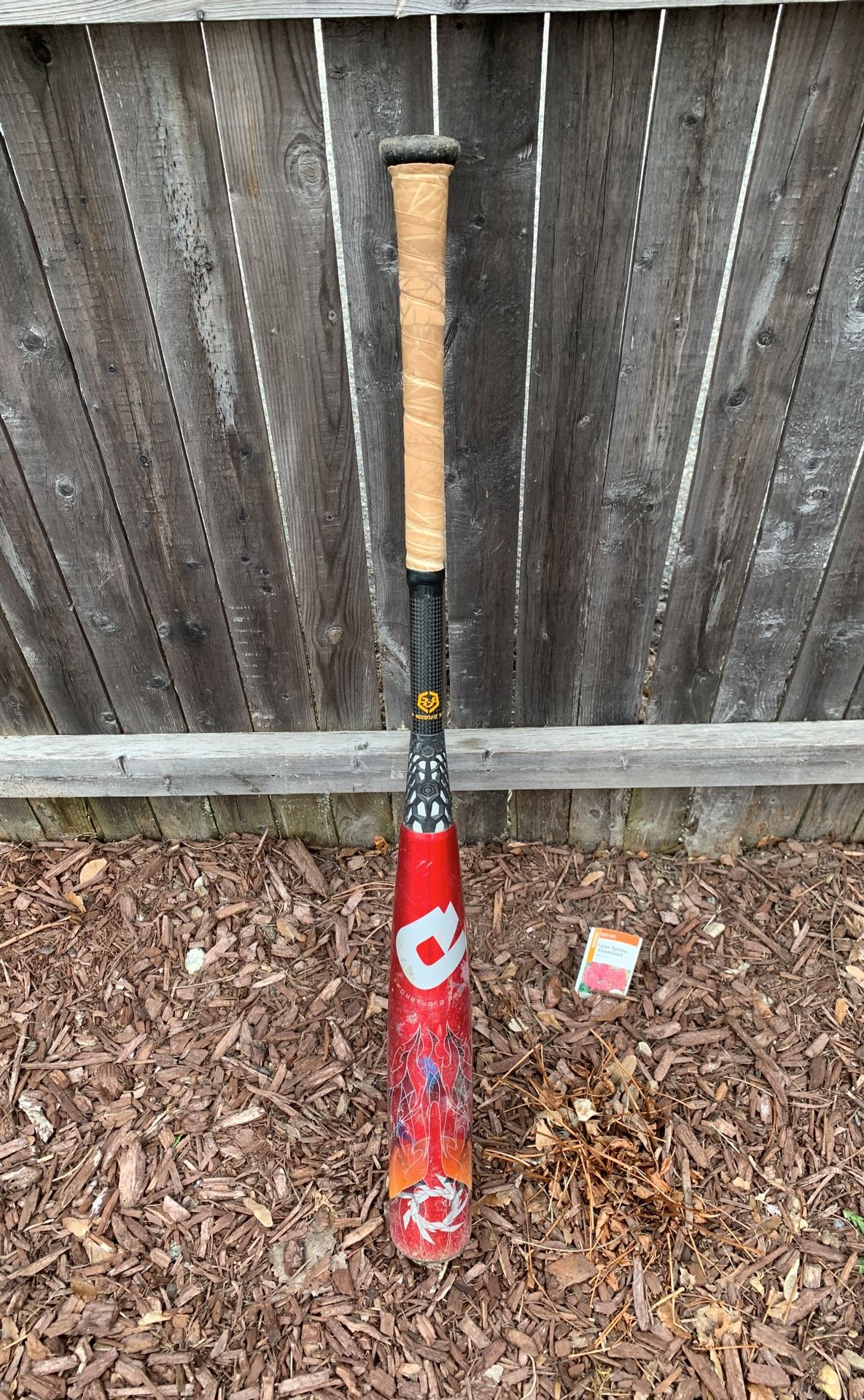 Bbcor baseball bat