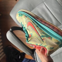 Lebron 9 Arnold Palmer