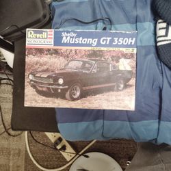 Mustang Model
