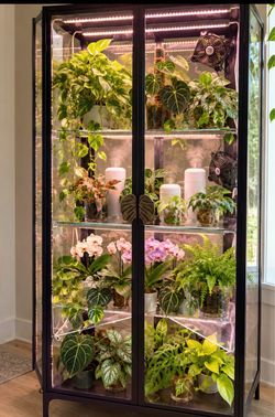 🌿🪴 IKEA MILSBO TALL GREENHOUSE CABINET – FULLY CONVERTED! 🪴