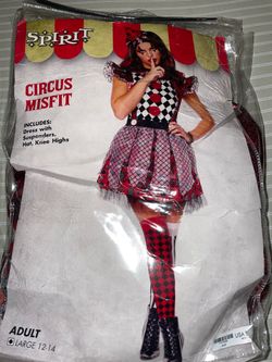 Circus misfit costume