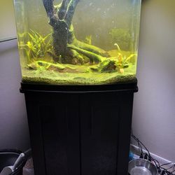 Coralife BioCube 32 Fish Tank