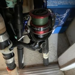 Shimano Reel