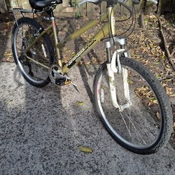 diamondback lustre 2