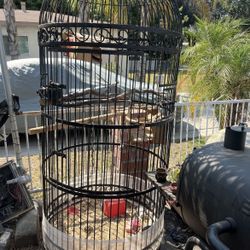 Big Bird Cage 
