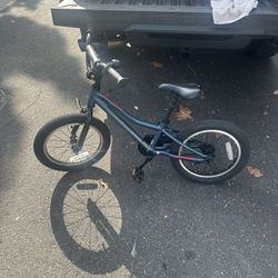 Kids Giant Animator 16” bike