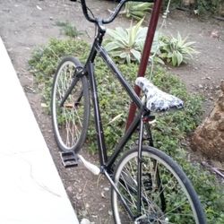 Raleigh Track Bike 29"