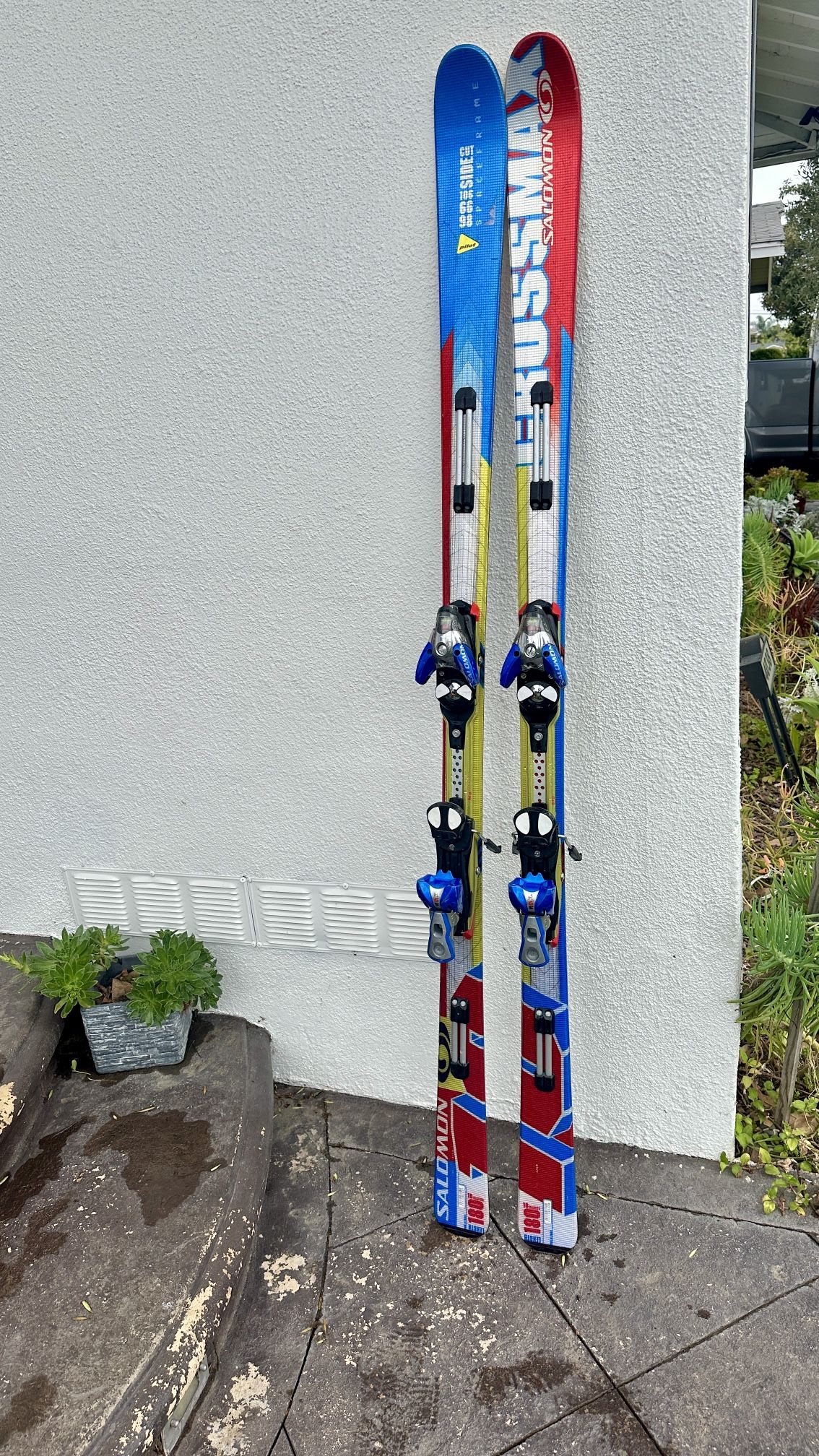 Salomon skis