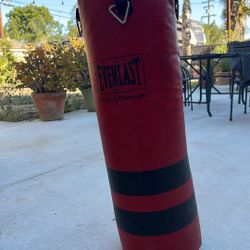 Everlast Powercore Free Standing Heavy Bag