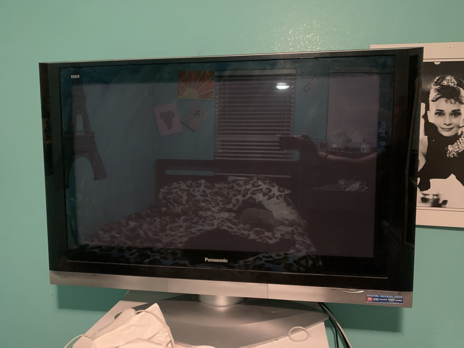 Panasonic Flat Screen Tv