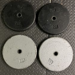 25 Lb. Weight Plates