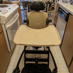 Rifton Special Needs Activity Chair