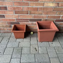 Plant Pots 