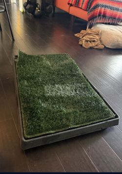 Porch Potty For Dogs