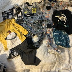 18 Months-2T Boys Clothes Bundle