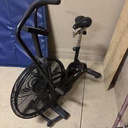 Assault air bike and Xebex erg bike