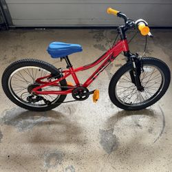 Trek Precaliber 20 Kids Mountain Bike