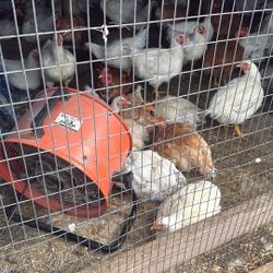 Abanico Funcionando Bien