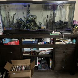 55 Gallon Fish Tank