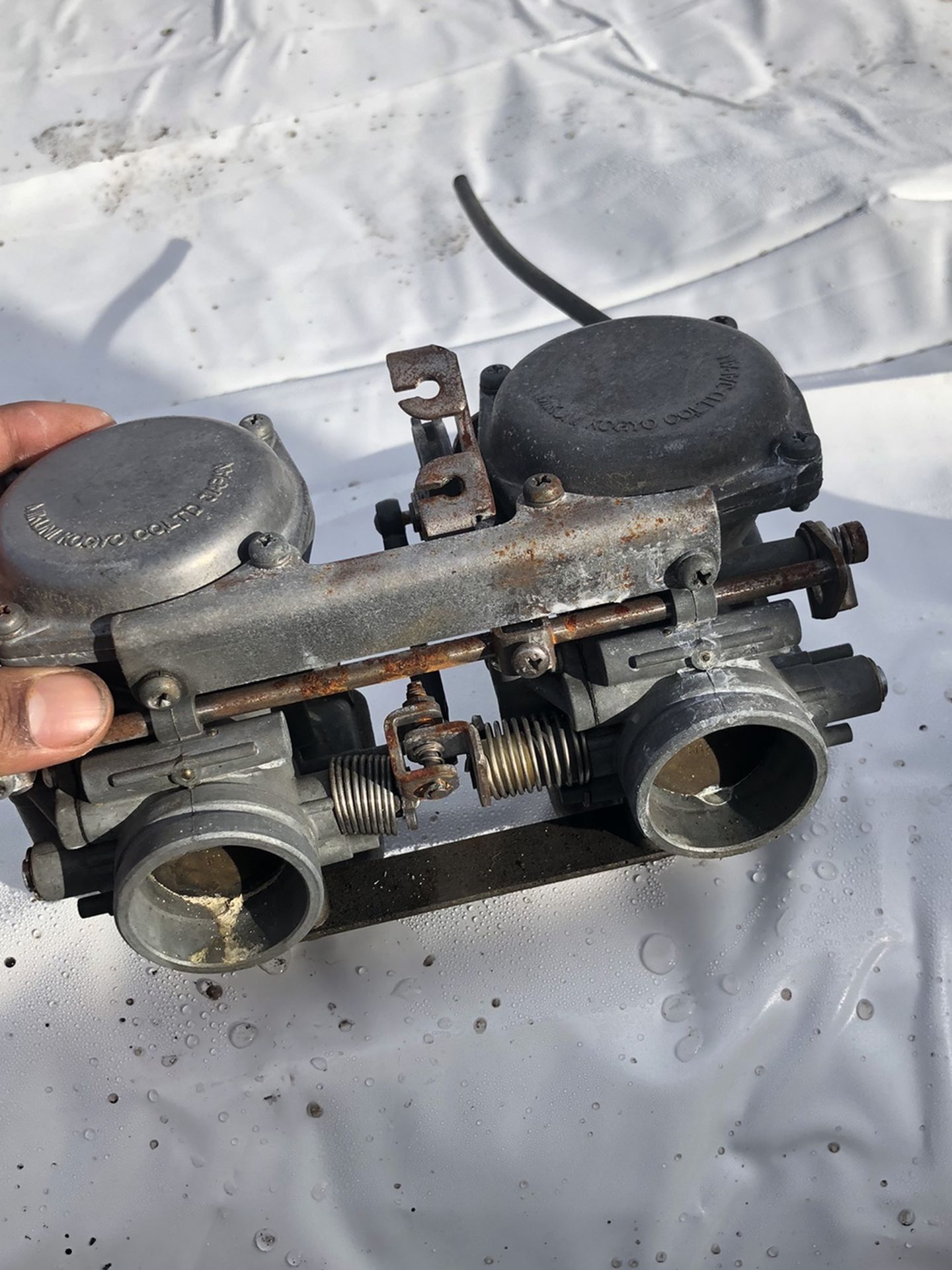 Bs38 carb 2024