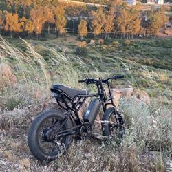Ebike (ridstar q20)
