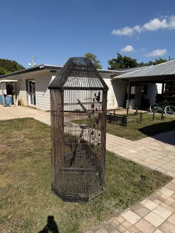 Bird Cage 