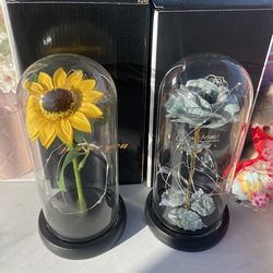 Flower Light Domes