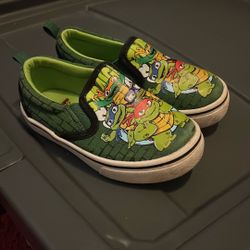 Ninja Turtle Shoes 