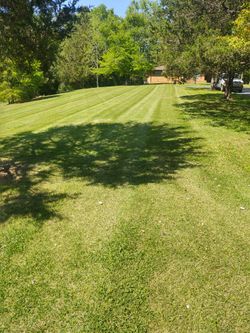 Affordable Lawn Care 