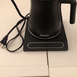 Electric Kettle With Temperature Control