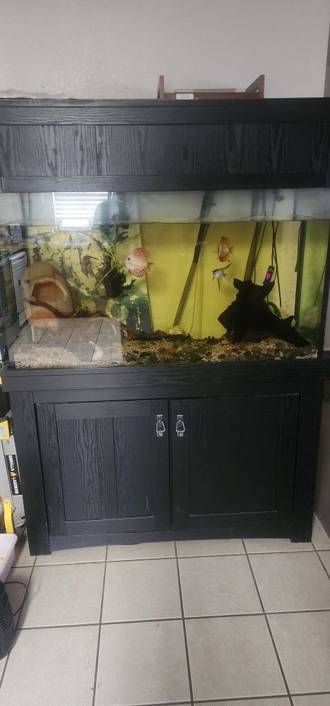 110 Gal Fish Tank With Canopy