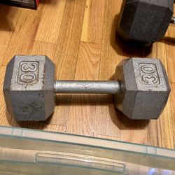 30 Pound Hex Cast Iron Metal Dumbbell Weight (30lbs)