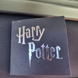 Harry Potter Pin