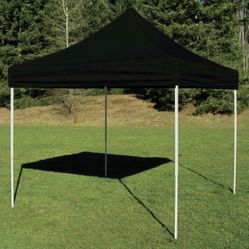 10 X 10 Pop Up Canopy Tent
