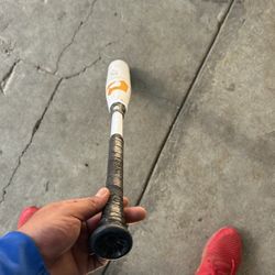 Cf Demarini 31 -5