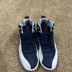 Jordan 12 Size 11