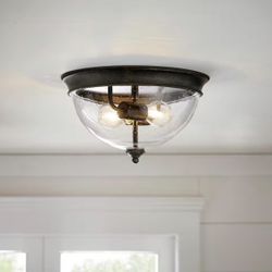 Hampton Bay Ceiling Light