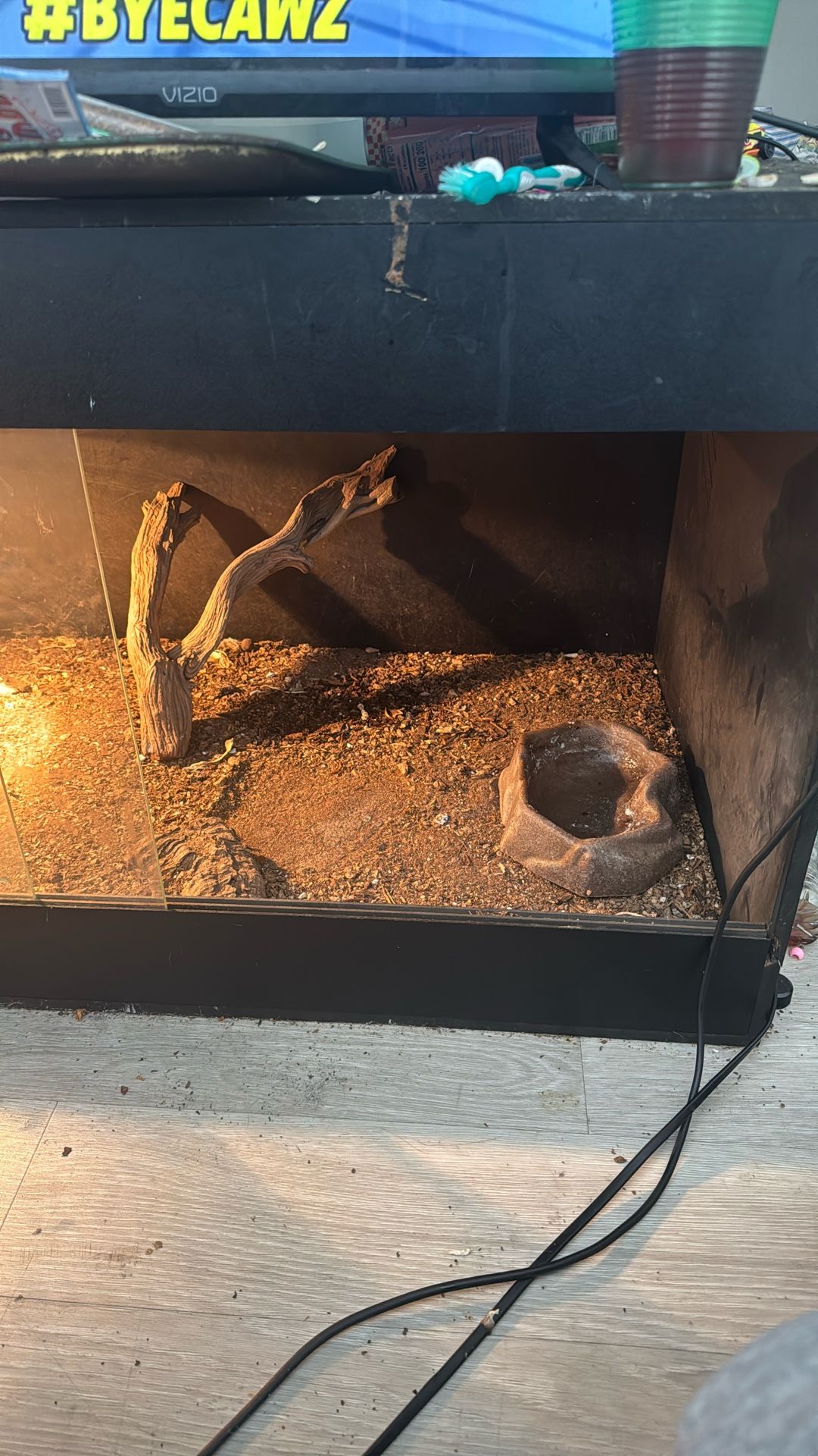 lizard tank