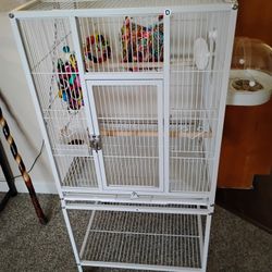 Bird/cage
