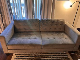 FREE Gray Apartment-Size Sofa & Chair