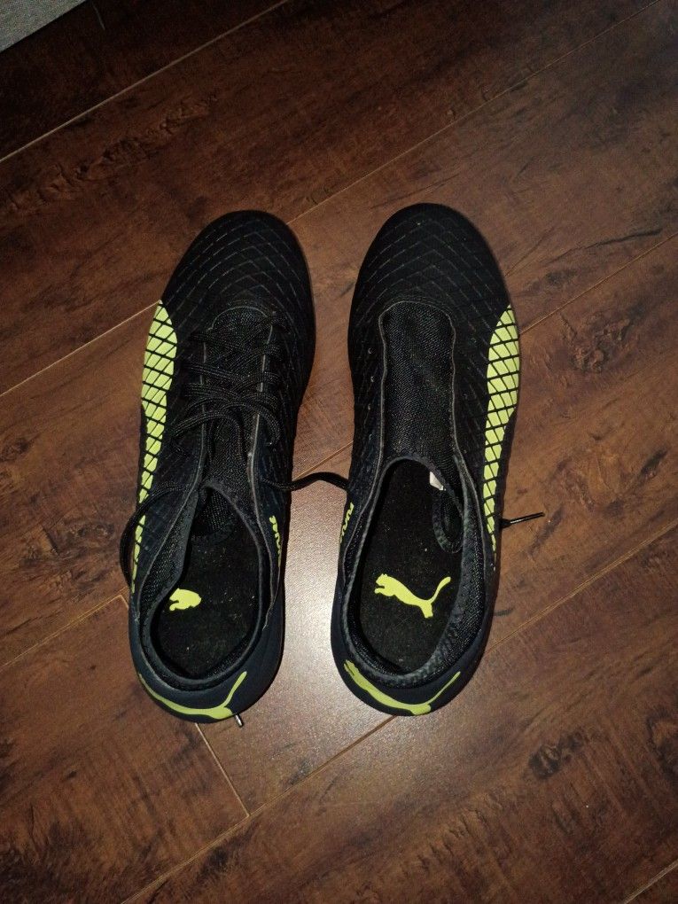 Puma 