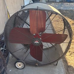 Big Fan For Events 