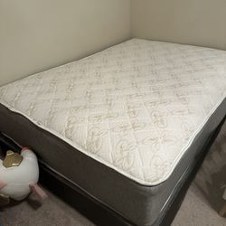 Sealy Full Size Mattress And Box Spring 