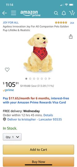 Joy for all companion pet dog