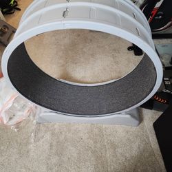 Cat Treadmill 